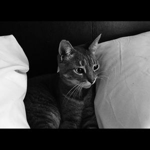 Meet your Posher, Jade